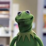 Disappointed Kermit