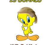 Tweety Trump | MY NAME IS
DONALD; AND I AM A TWEETY ADDICT | image tagged in trump tweety,tweety bird,tweet addict | made w/ Imgflip meme maker