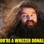 Hagrid | YOU'RE A WHIZZER DONALD | image tagged in hagrid | made w/ Imgflip meme maker