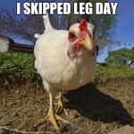 chickens | I SKIPPED LEG DAY | image tagged in chickens | made w/ Imgflip meme maker