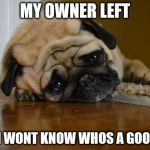 sad dog | MY OWNER LEFT; NOW I WONT KNOW WHOS A GOOD BOY | image tagged in sad dog | made w/ Imgflip meme maker