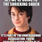 Harry Potter | HEY WE'RE GOING TO THE SHRIEKING SHACK; IT'S PART OF THE UNDERGROUND ASSOCIATION, YOU'VE PROBABLY NEVER HEARD OF IT | image tagged in harry potter | made w/ Imgflip meme maker