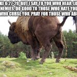 Biblical B.S. | LUKE 6:27-28  BUT I SAY TO YOU WHO HEAR, LOVE YOUR ENEMIES, DO GOOD TO THOSE WHO HATE YOU, BLESS THOSE WHO CURSE YOU, PRAY FOR THOSE WHO ABUSE YOU | image tagged in biblical bullshit,bible,god,jesus christ | made w/ Imgflip meme maker