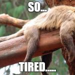 So tired | SO... TIRED..... | image tagged in so tired | made w/ Imgflip meme maker