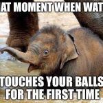 Baby Elephant | THAT MOMENT WHEN WATER; TOUCHES YOUR BALLS FOR THE FIRST TIME | image tagged in baby elephant | made w/ Imgflip meme maker