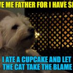 Can animals feel guilty? | FORGIVE ME FATHER FOR I HAVE SINNED... I ATE A CUPCAKE AND LET THE CAT TAKE THE BLAME | image tagged in julio,memes,animals,dogs,confessional | made w/ Imgflip meme maker
