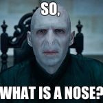 Lord Voldemort | SO, WHAT IS A NOSE? | image tagged in lord voldemort | made w/ Imgflip meme maker