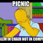 Homer face palm | PICNIC; PROBLEM IN CHAIR NOT IN COMPUTER | image tagged in homer face palm | made w/ Imgflip meme maker