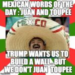 mexican word of the day | MEXICAN WORDS OF THE DAY : JUAN AND TOUPEE; TRUMP WANTS US TO BUILD A WALL . BUT WE DON'T JUAN  TOUPEE | image tagged in mexican word of the day | made w/ Imgflip meme maker