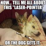Warning killer cat | NOW... TELL ME ALL ABOUT THIS "LASER-POINTER"; OR THE DOG GETS IT. | image tagged in warning killer cat,memes,funny,animals,pets | made w/ Imgflip meme maker