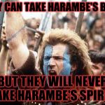 William Wallace | THEY CAN TAKE HARAMBE'S BODY; BUT THEY WILL NEVER TAKE HARAMBE'S SPIRIT! | image tagged in william wallace | made w/ Imgflip meme maker