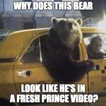 bear taxi Meme Generator - Imgflip