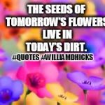 The Seeds of Tomorrow's Flowers QUOTE | THE SEEDS OF TOMORROW’S FLOWERS LIVE IN TODAY’S DIRT. #QUOTES #WILLIAMDHICKS | image tagged in flowers | made w/ Imgflip meme maker