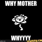 flowey | WHY MOTHER; WHYYYY | image tagged in flowey | made w/ Imgflip meme maker