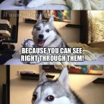 Epic husky jokes like a boss ;) | WHY ARE GHOSTS BAD AT LYING? BECAUSE YOU CAN SEE RIGHT THROUGH THEM! | image tagged in ifunny - punhusky watermarked | made w/ Imgflip meme maker