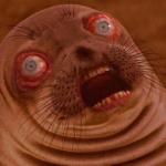 Surprised Seal