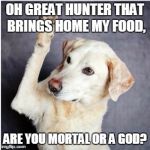 DogQuestions | OH GREAT HUNTER THAT BRINGS HOME MY FOOD, ARE YOU MORTAL OR A GOD? | image tagged in dogquestions | made w/ Imgflip meme maker