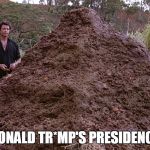 One big pile of shit  | DONALD TR*MP'S PRESIDENCY | image tagged in one big pile of shit | made w/ Imgflip meme maker