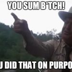 You Did That On Purpose! | YOU SUM B*TCH! YOU DID THAT ON PURPOSE! | image tagged in buford t justice bbq your ass,memes,smokey and the bandit,jackie gleason | made w/ Imgflip meme maker