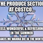 Snowflake | THE PRODUCE SECTION AT COSTCO... FEELS WONDERFUL & REFRESHING IN THE SUMMER; MAKES ME WANNA DIE IN THE WINTER | image tagged in snowflake | made w/ Imgflip meme maker