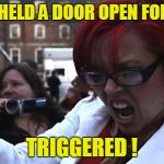 Feminist | A MAN HELD A DOOR OPEN FOR ME . . . TRIGGERED ! | image tagged in feminist | made w/ Imgflip meme maker