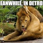 Detroit Lions post-season | MEANWHILE, IN DETROIT | image tagged in lion licking balls,detroit lions | made w/ Imgflip meme maker