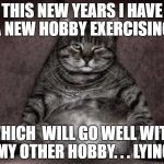 Lazy Cat | THIS NEW YEARS I HAVE A NEW HOBBY EXERCISING; WHICH  WILL GO WELL WITH MY OTHER HOBBY. . . LYING | image tagged in lazy cat | made w/ Imgflip meme maker
