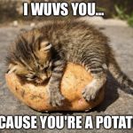 potato cat | I WUVS YOU... BECAUSE YOU'RE A POTATO! | image tagged in potato cat | made w/ Imgflip meme maker