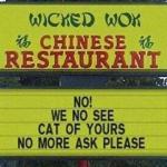 Chinese No More Cat