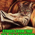 63% Of All Statistics Are Made Up | STUDIES SHOW THAT 63% OF ALL STATISTICS ARE MADE UP | image tagged in cat reading,statistics,cats,animals,go cowboys,memes | made w/ Imgflip meme maker