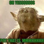 That Itch You Can't Scratch | OH YESSSSSSS; THE SPOT THAT IS, MMMHHHHHMMM | image tagged in yoda is very pleased,star wars,sorry hokeewolf,that's the spot,itch you can't scratch,memes | made w/ Imgflip meme maker