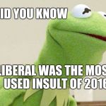 Millennial was a close 2nd | DID YOU KNOW; LIBERAL WAS THE MOST USED INSULT OF 2016 | image tagged in did you know kermit,liberals,funny,political meme,politics | made w/ Imgflip meme maker
