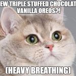 Heavy breathing cat blank | NEW TRIPLE STUFFED CHOCOLATY VANILLA OREOS?! (HEAVY BREATHING) | image tagged in heavy breathing cat blank | made w/ Imgflip meme maker