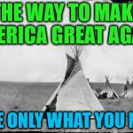 Make America Great Again | THE WAY TO MAKE AMERICA GREAT AGAIN! TAKE ONLY WHAT YOU NEED | image tagged in make america great again | made w/ Imgflip meme maker