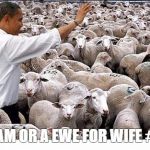 obama and his voters | RAM OR A EWE FOR WIFE #2 | image tagged in obama and his voters | made w/ Imgflip meme maker