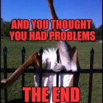 YOU THOUGHT YOU HAD PROBLEMS... | AND YOU THOUGHT YOU HAD PROBLEMS; THE END | image tagged in deer nuts,shit,hung up | made w/ Imgflip meme maker
