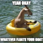 float goat | YEAH OKAY; WHATEVER FLOATS YOUR GOAT | image tagged in float goat,memes,funny,funny memes | made w/ Imgflip meme maker