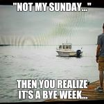 Not my Sunday | "NOT MY SUNDAY..."; THEN YOU REALIZE IT'S A BYE WEEK... | image tagged in not my sunday | made w/ Imgflip meme maker
