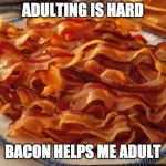 The Struggle. It's real. | ADULTING IS HARD; BACON HELPS ME ADULT | image tagged in bacon,adulting,personing,iwanttobebacon | made w/ Imgflip meme maker