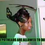 helicopter_hair | WHEN POTHEADS ARE ALLOWED TO DO HAIR | image tagged in helicopter_hair | made w/ Imgflip meme maker