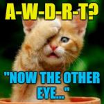 Cat's eyes matter... | A-W-D-R-T? "NOW THE OTHER EYE..." | image tagged in forgot cat,memes,animals,cats,eye test,cat's eyes | made w/ Imgflip meme maker