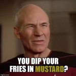 Picard WTF 2 | YOU DIP YOUR FRIES IN MUSTARD? MUSTARD | image tagged in picard wtf 2,memes,captain picard,star trek the next generation,sorry hokeewolf,mustard | made w/ Imgflip meme maker