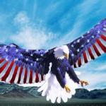 Freedom eagle meme