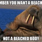 beach body | REMEMBER YOU WANT A BEACH BODY; NOT A BEACHED BODY | image tagged in beach body | made w/ Imgflip meme maker