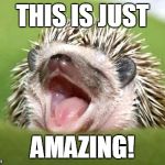 Motivational hedgehog | THIS IS JUST; AMAZING! | image tagged in motivational hedgehog | made w/ Imgflip meme maker