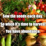 vegetables | Sow the seeds each day; So when it's time to harvest; You have abundance. | image tagged in vegetables | made w/ Imgflip meme maker