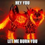 Magma dog | HEY YOU; LET ME BURN YOU | image tagged in magma dog | made w/ Imgflip meme maker