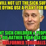 Malformed Turdballs | NO!! I WILL NOT LET THE SICK SUFFERING OR THE DYING USE A PLANT FOR RELIEF!! I WANT SICK CHILDREN & PEOPLE TO SUFFER & DIE RATHER THAN USE CANNABIS. - MALFORMED TURDBALLS | image tagged in malformed turdballs | made w/ Imgflip meme maker