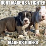 Pitbulls | DONT MAKE US A FIGHTER; MAKE US LOVERS | image tagged in pitbulls | made w/ Imgflip meme maker