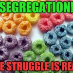 Froot loops lives matter! | SEGREGATION! THE STRUGGLE IS REAL! | image tagged in ocd froot loops,lives matter,triggered | made w/ Imgflip meme maker